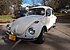 1971 Volkswagen Beetle for sale 101080944